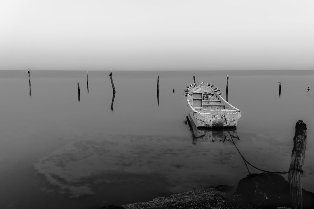 Photograph by Joaquin Silva