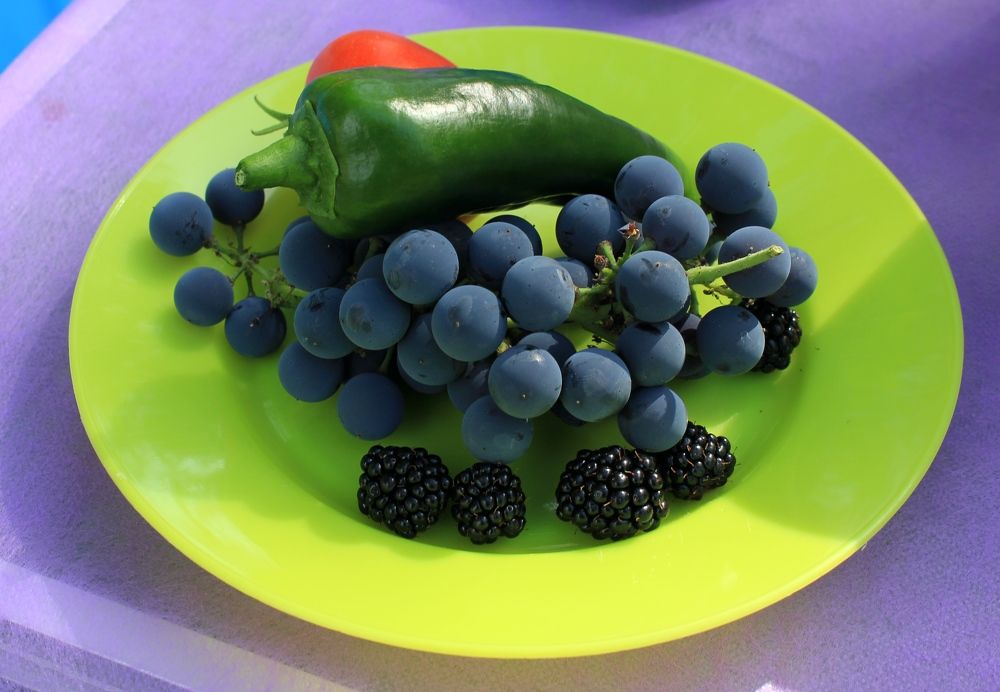 Photograph by Olga Bagaeva