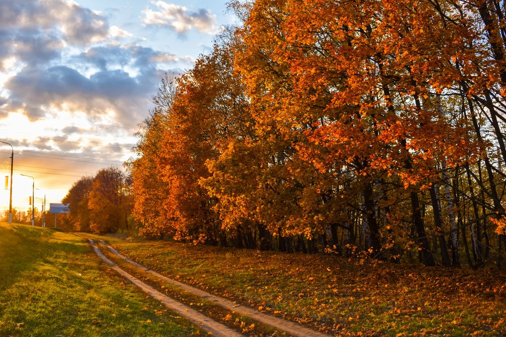 Photograph by Елена