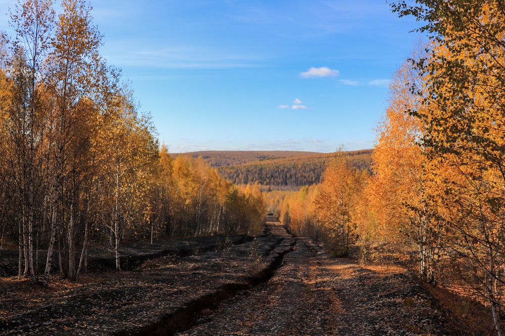 Photograph by Лилия Васильева