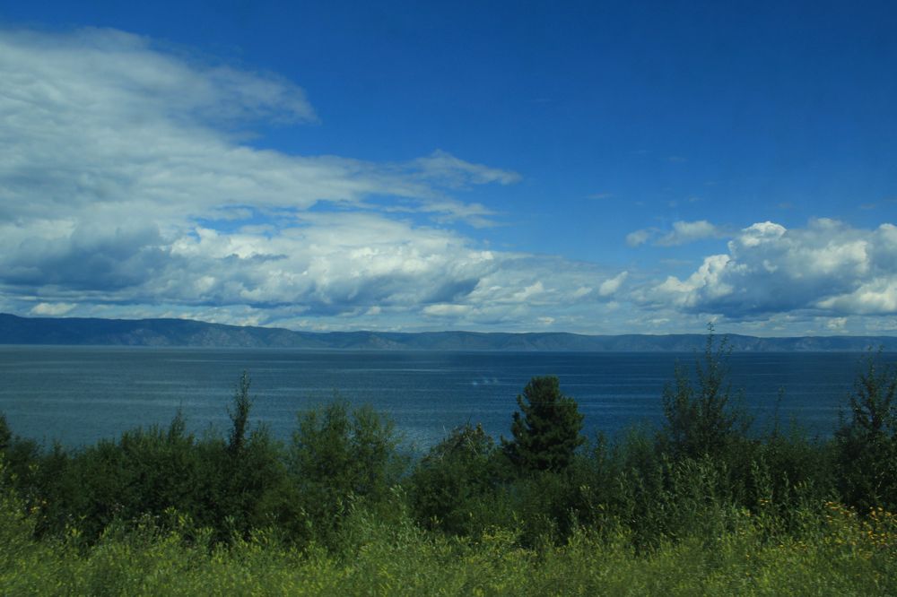 Байкальский вид