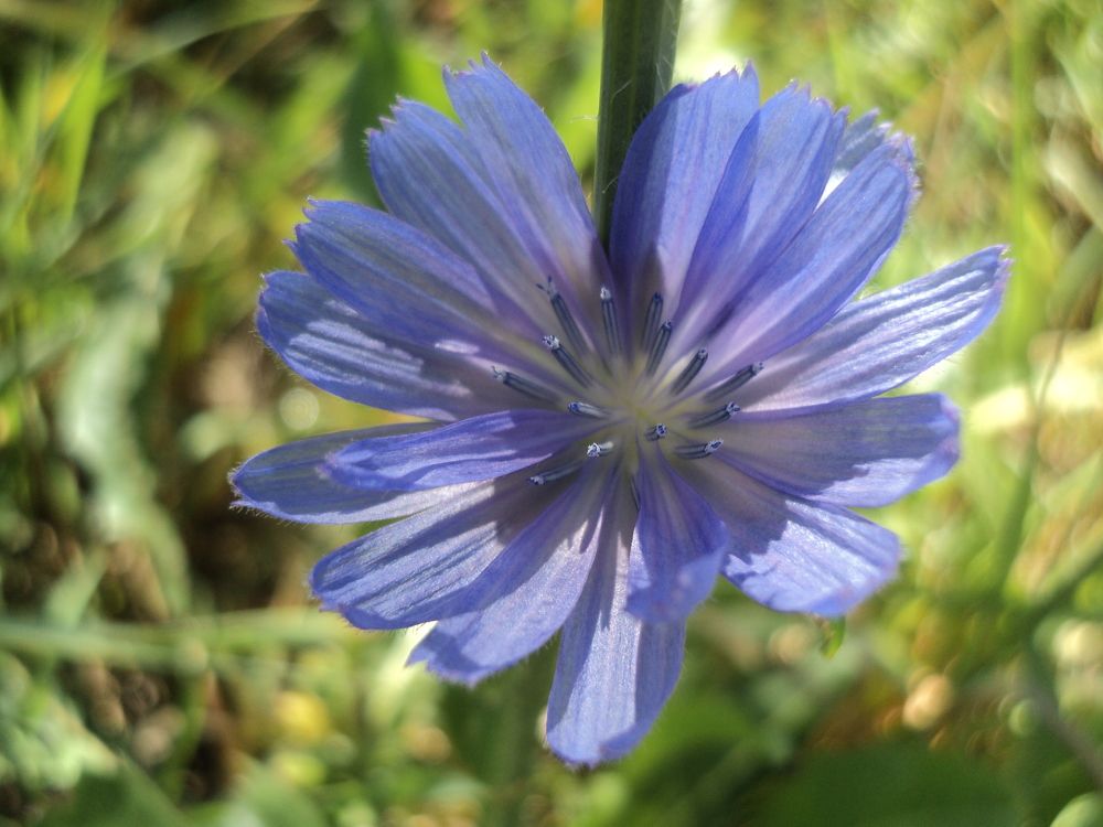 Photograph by Юлия Лихачева