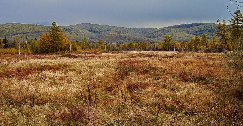 Фотография автора АЛЕКСАНДР ЦЫГЕЛЬНЮК