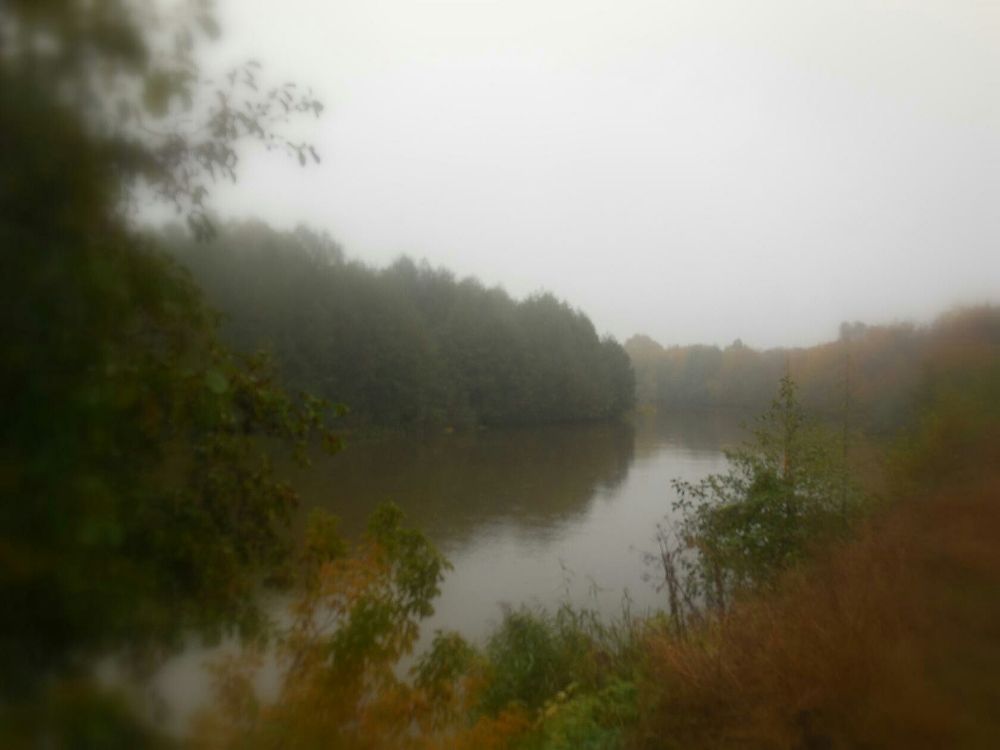 Фотография автора Павел Попов