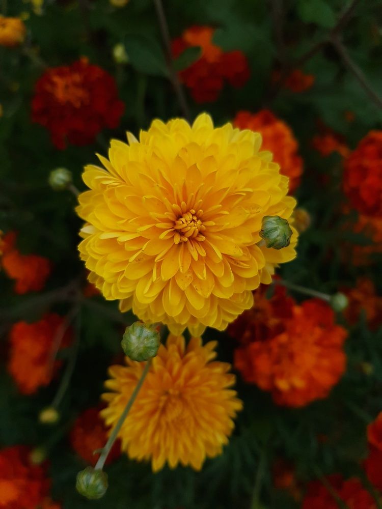 Photograph by Оксана Крылович