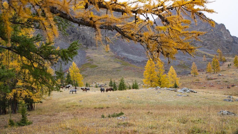 Photograph by Ольга Лукахина