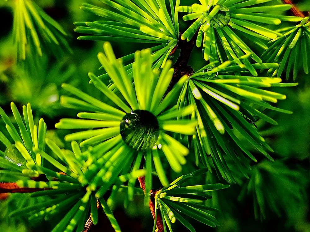 Photograph by Александра