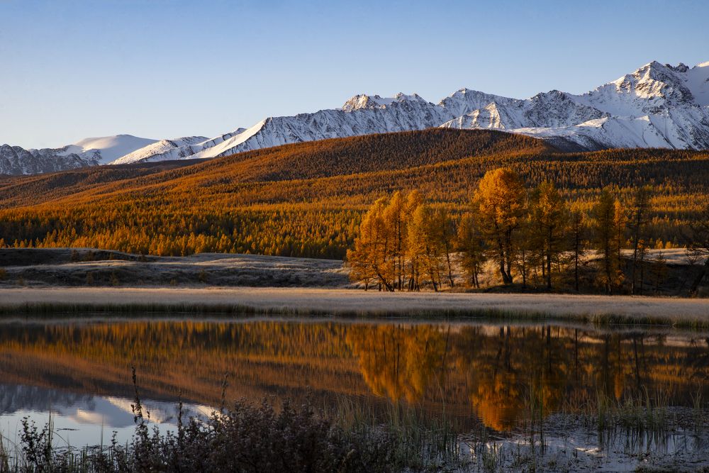 Photograph by Ольга Лукахина