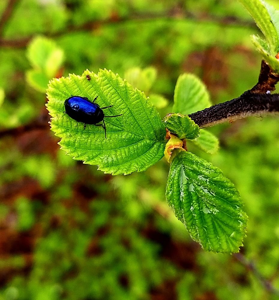 Photograph by Александра