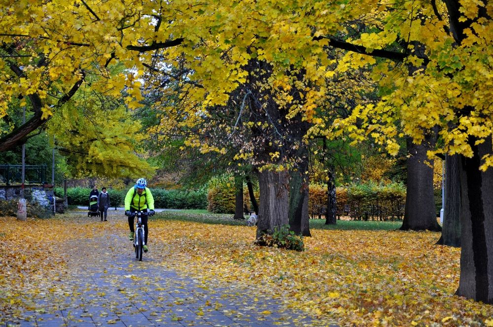 Photograph by Лысых Галина