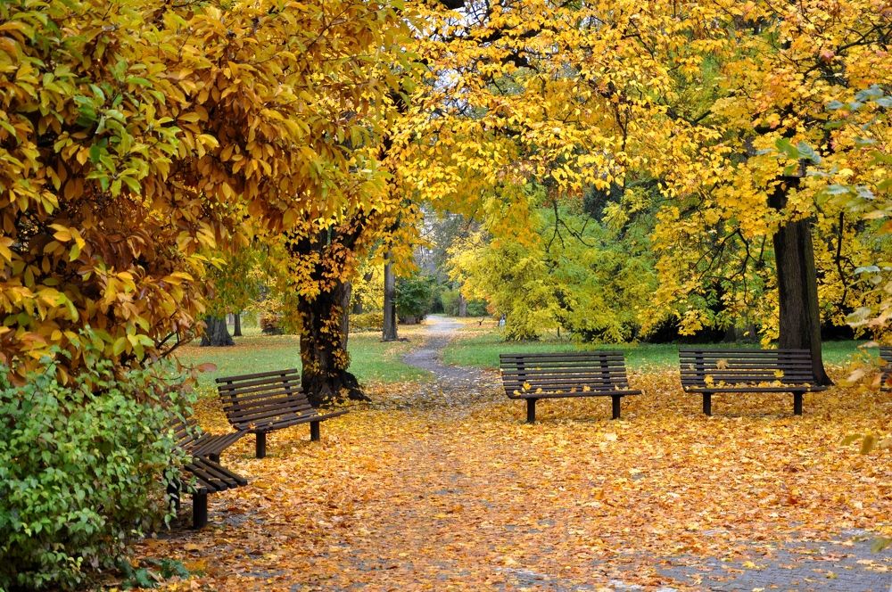 Photograph by Лысых Галина