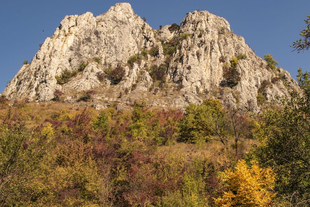 Photograph by FLORINDA LOREDANA CIURARU