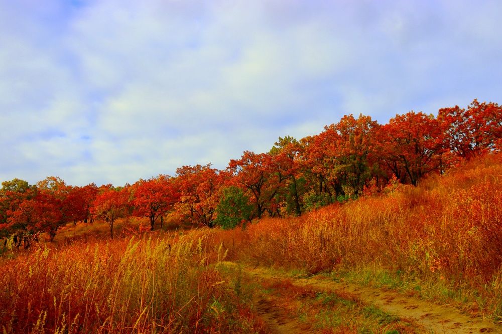 Photograph by Александра