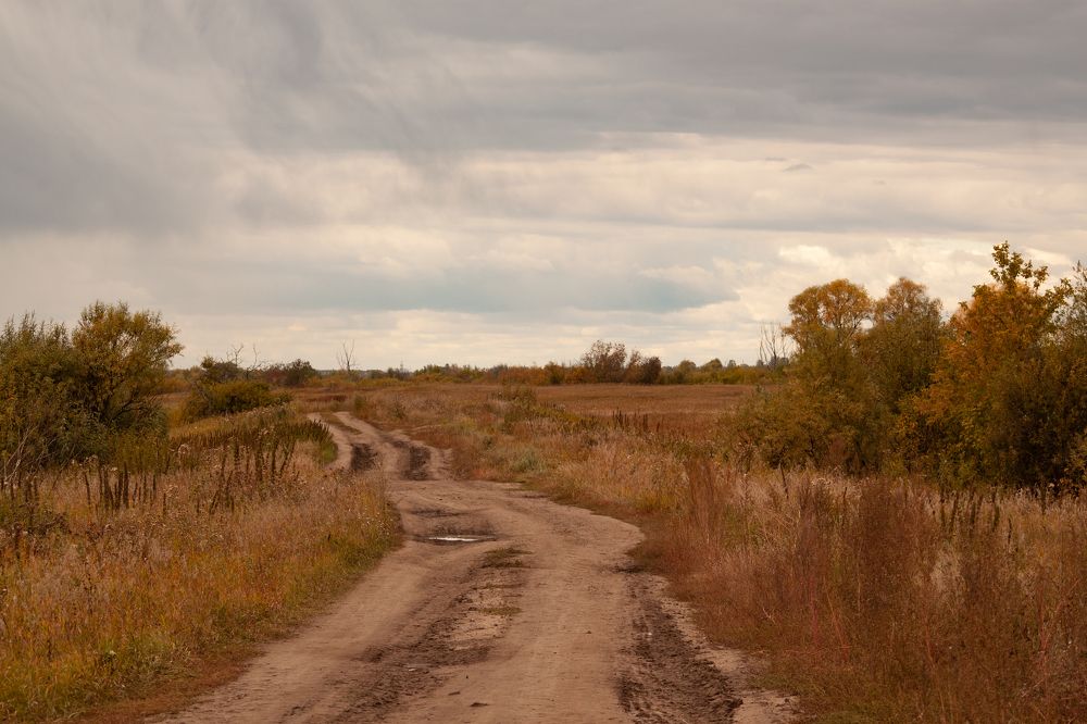 Photograph by Екатерина Воронкова