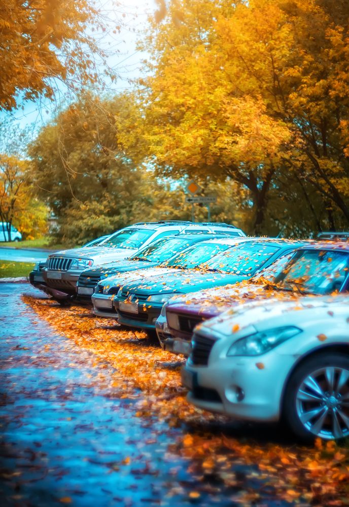 Photograph by Ксения Базарова