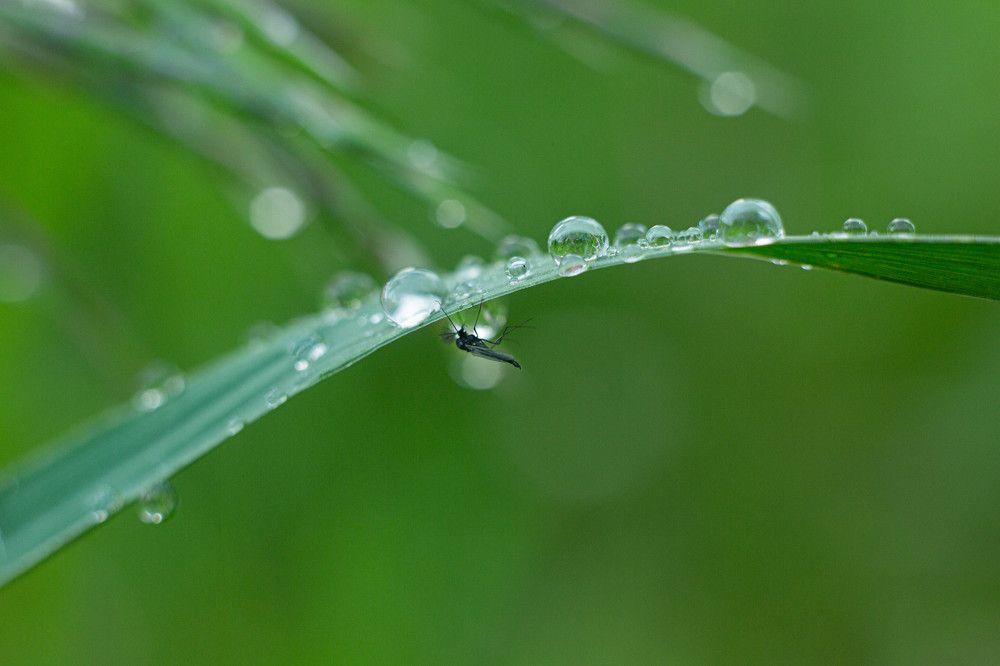 Photograph by Анна Селянкина