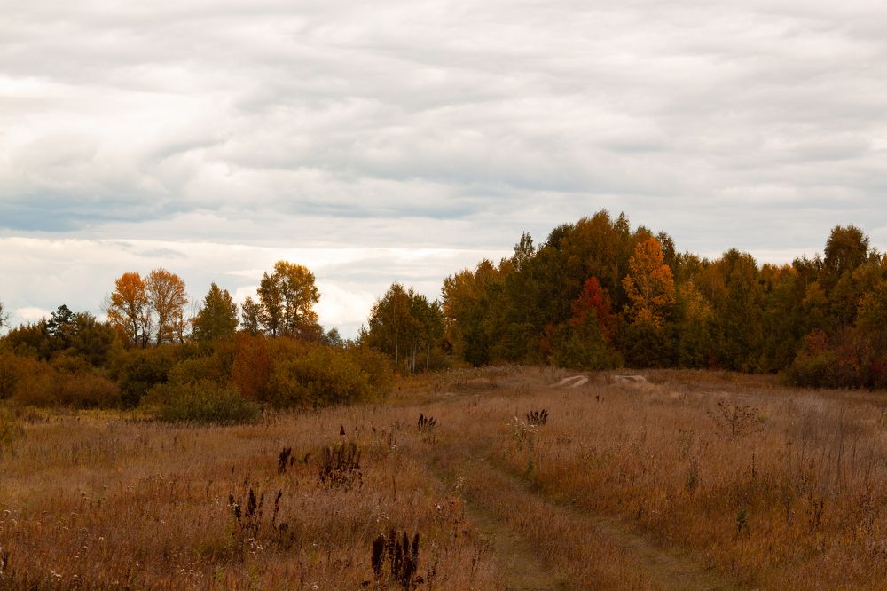 Photograph by Екатерина Воронкова