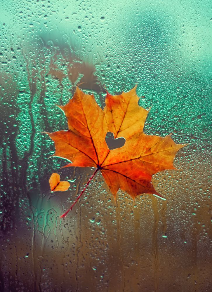 Photograph by Ксения Базарова