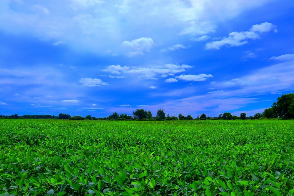 Photograph by Александра