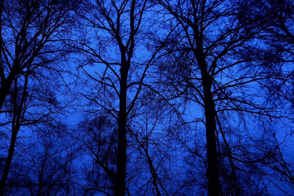 Photograph by Александра