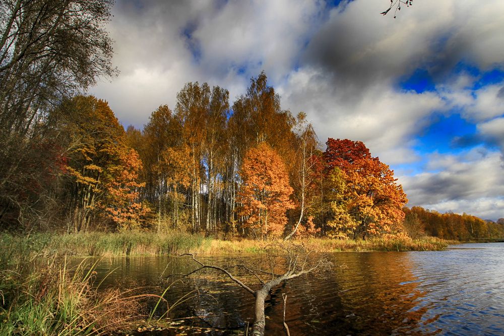 Photograph by Феденкова Татьяна