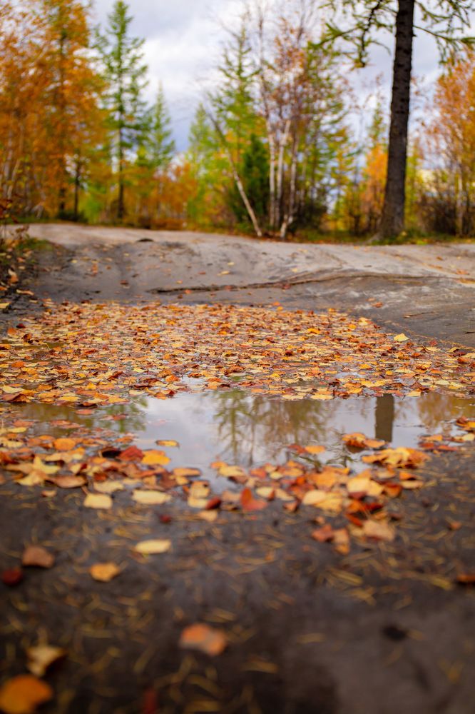 Photograph by Ксения Фёдорова