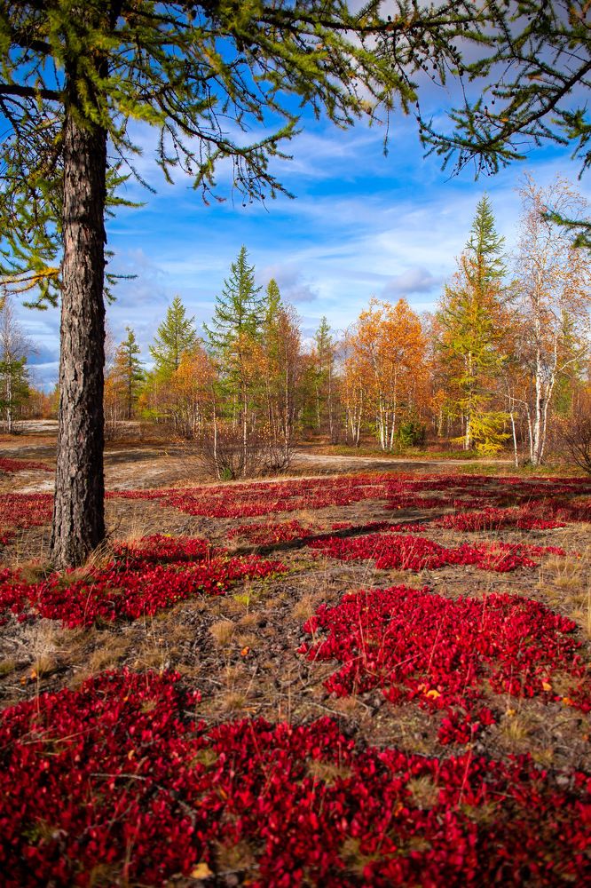 Photograph by Ксения Фёдорова