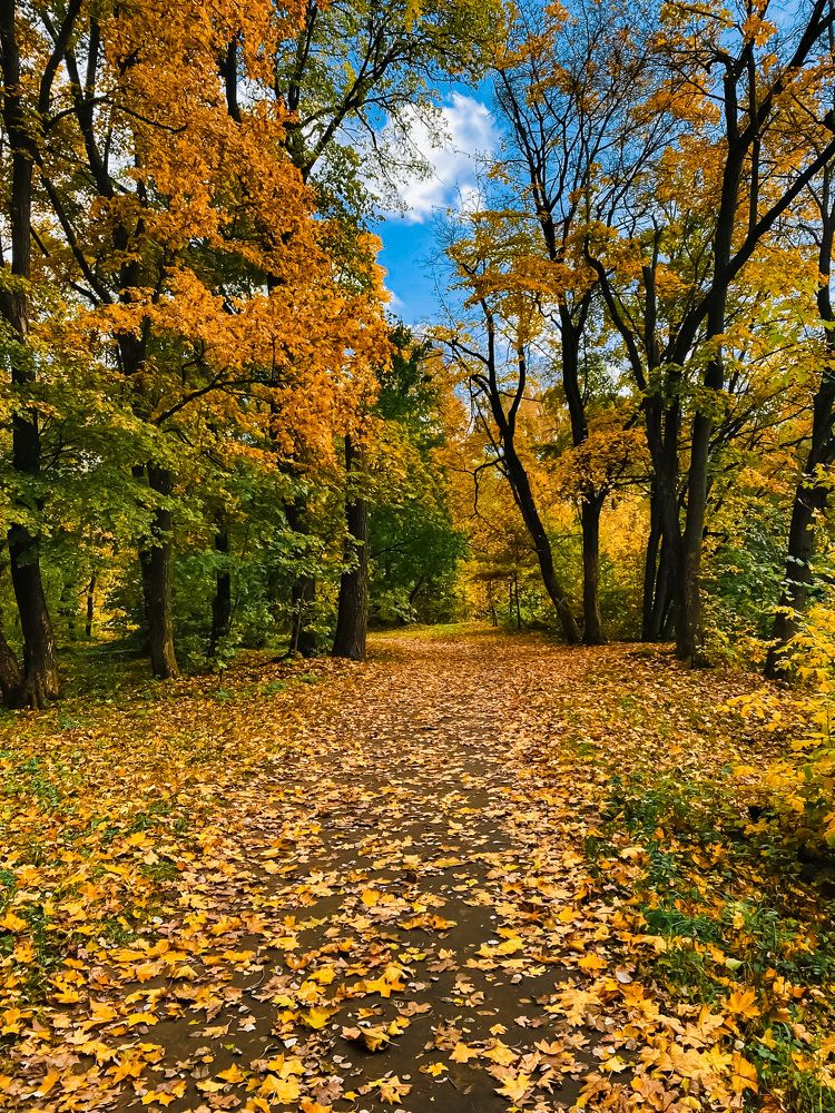 Photograph by Алена Комарова