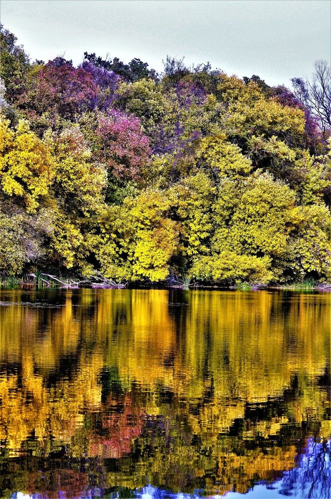 Photograph by БРОВКО АЛЕКСАНДР ИВАНОВИЧ
