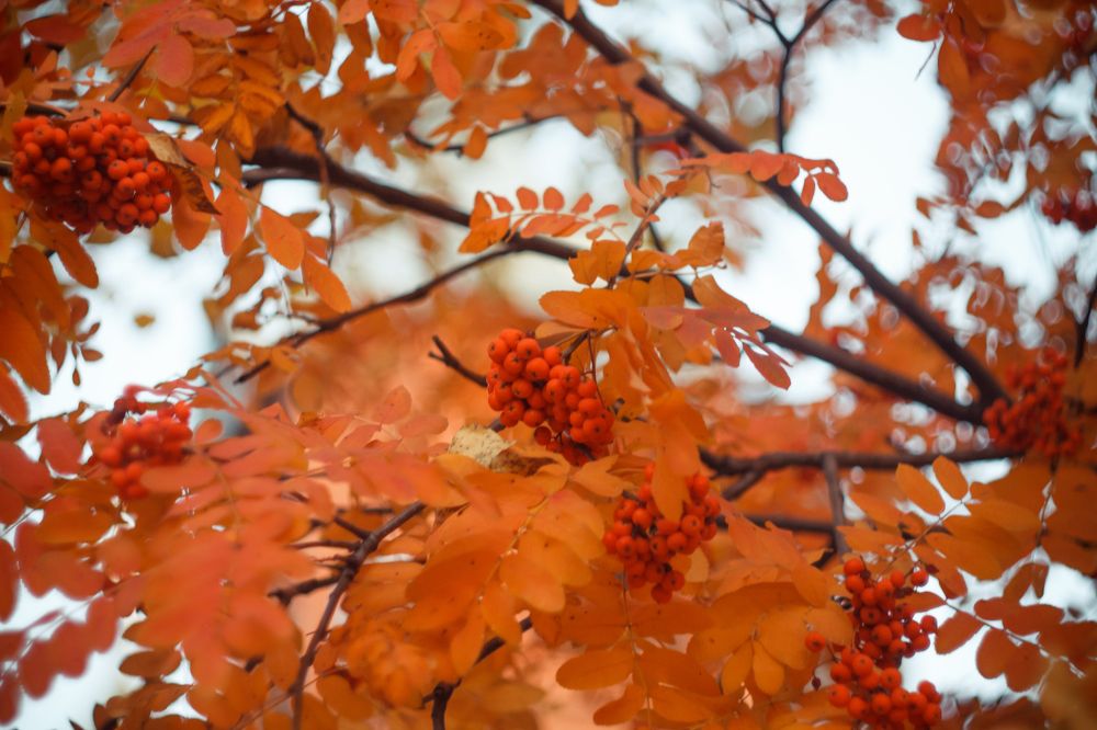 Photograph by Иван Карпов