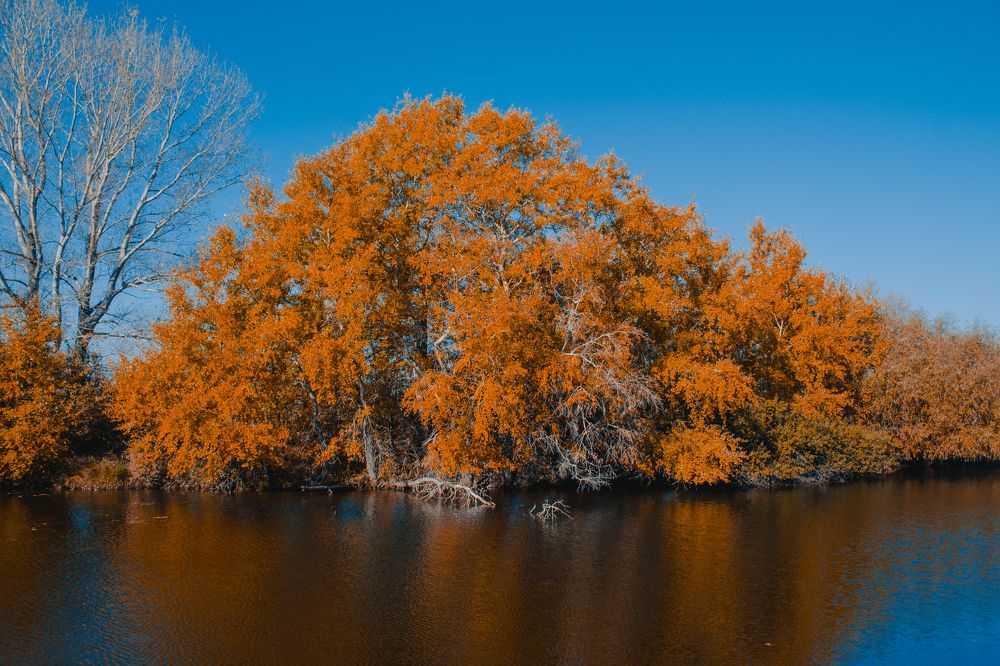 Фотография автора Ivan Karpoff