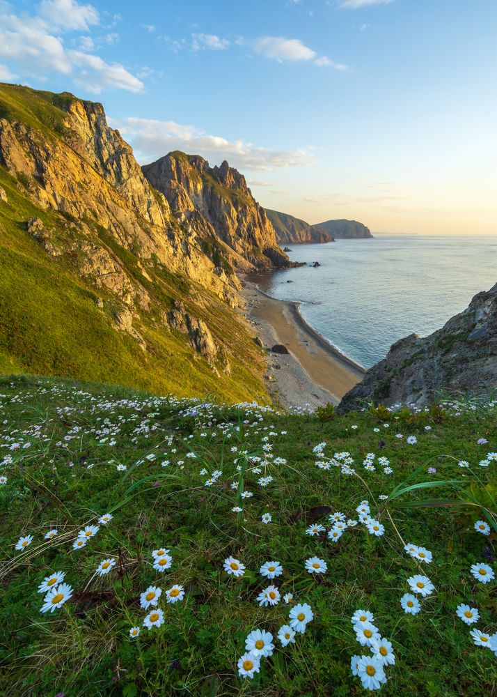 Фотография автора Олег Матроницкий