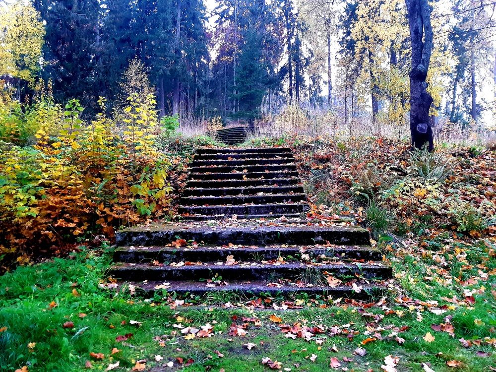 Photograph by Наталья Григорьева