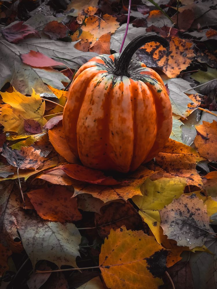 Photograph by Ольга Голованова