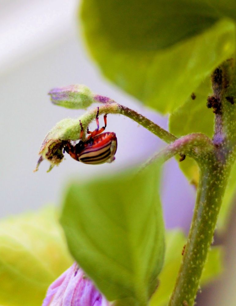 Photograph by Анна Авилочкина