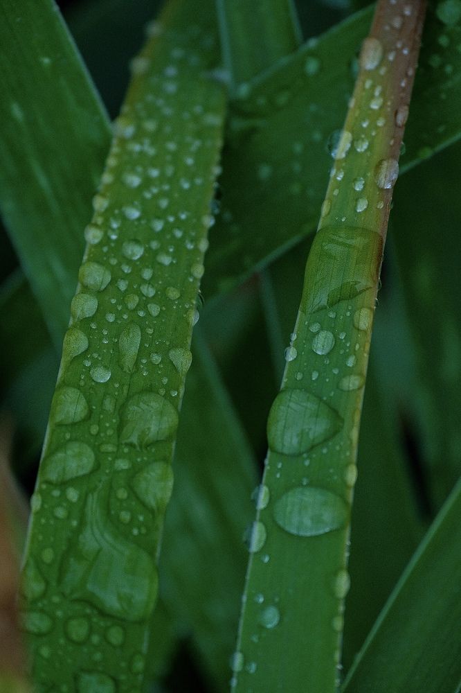 Photograph by Алексей Большаков