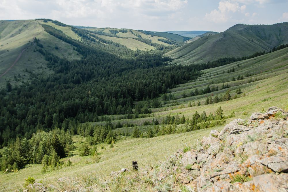 Фотография автора Анна Переверзева