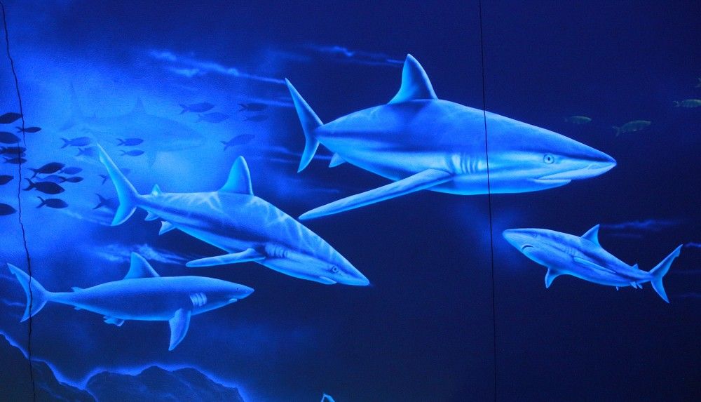 Photograph by Марина Юрченко