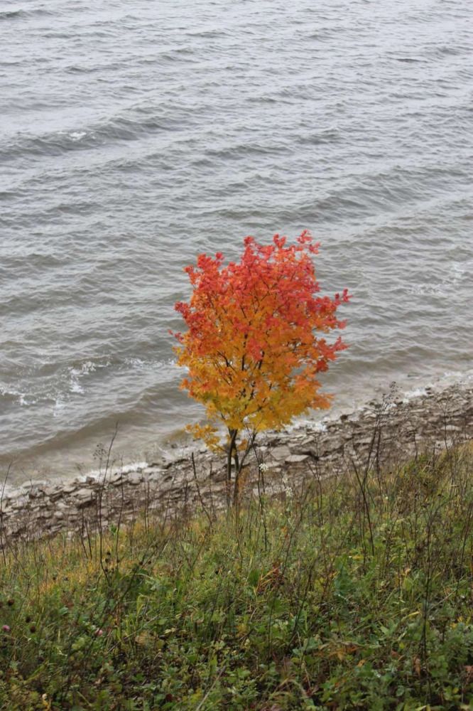 Photograph by Екатерина Хозяшева