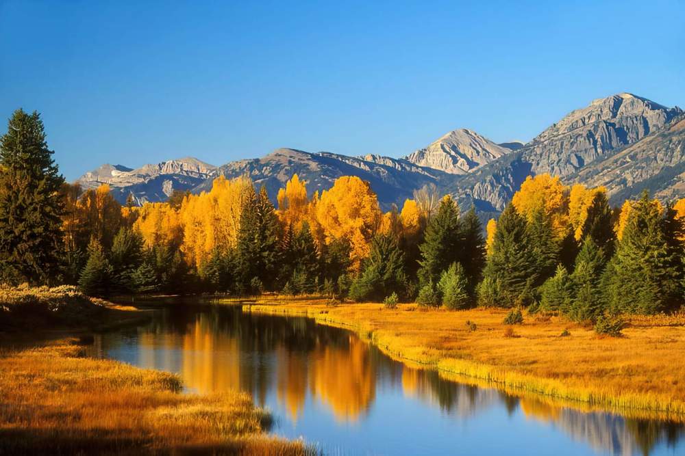 Photograph by Ламара Авалишвили