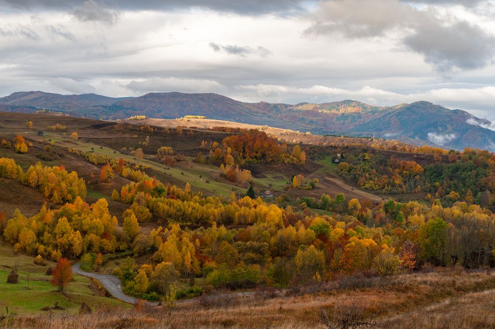 Photograph by Pucs Fongabe