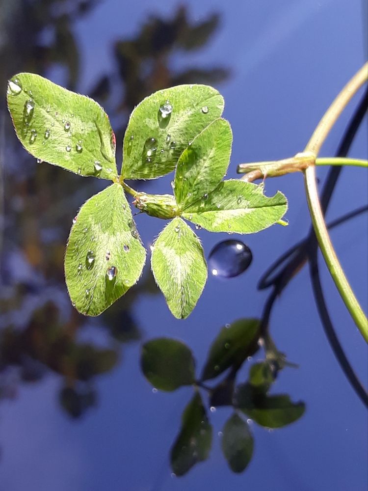 Photograph by Елена Тимченко