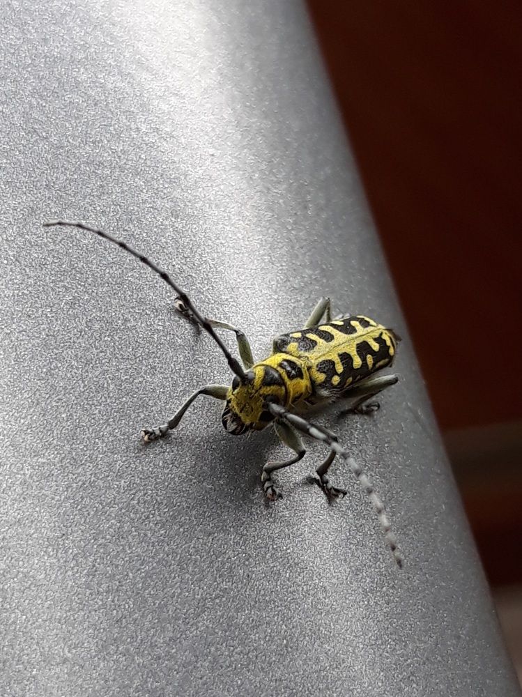 Photograph by Елена Тимченко