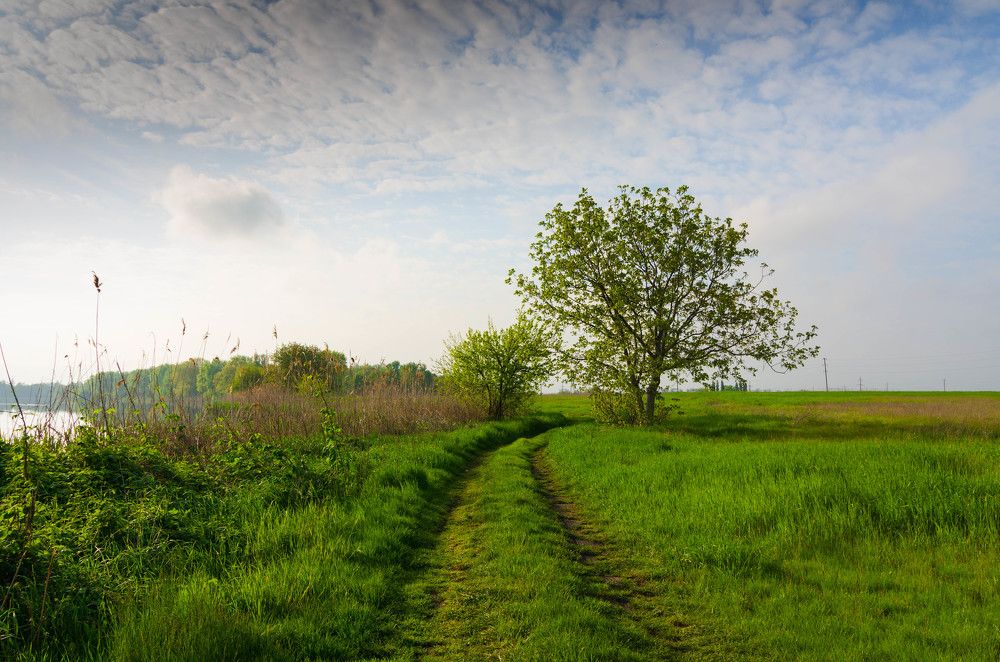 Photograph by Редько Александр
