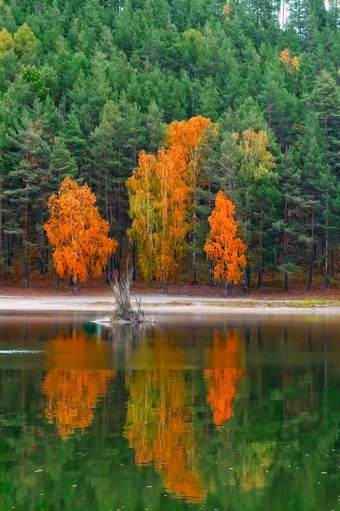 Photograph by Стас Неклюдов