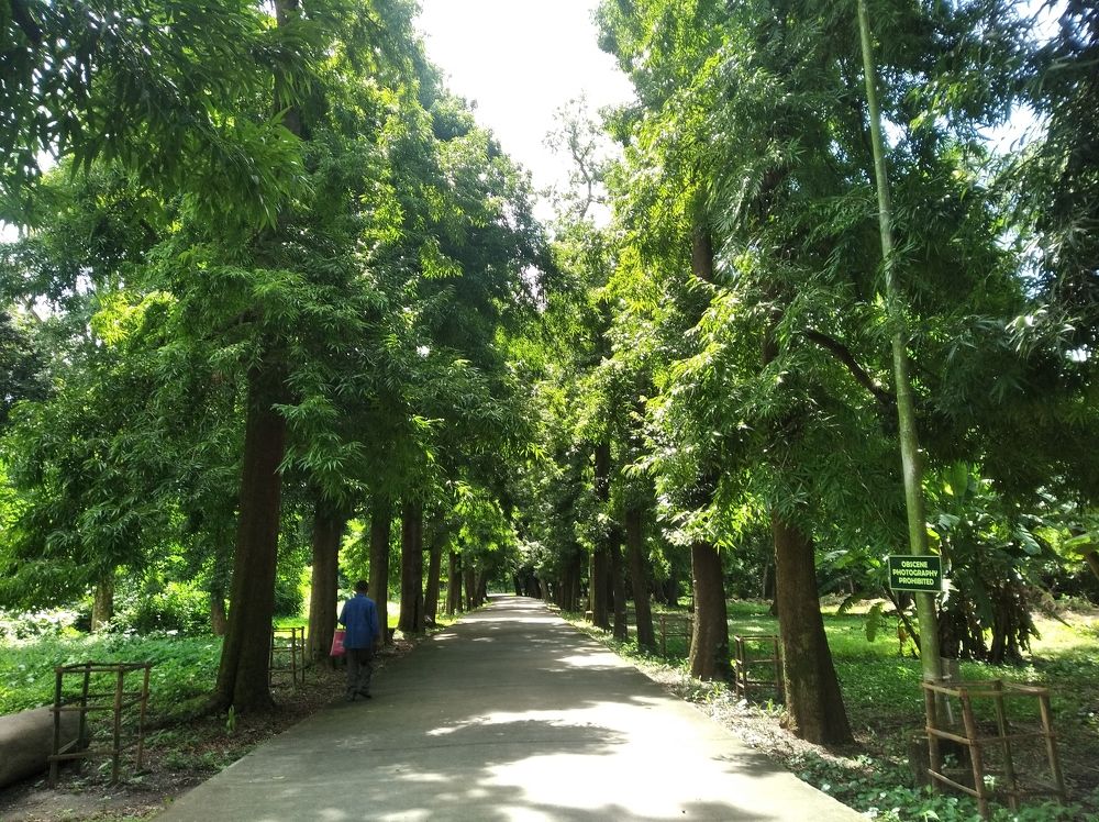 Photograph by Shyam Saha