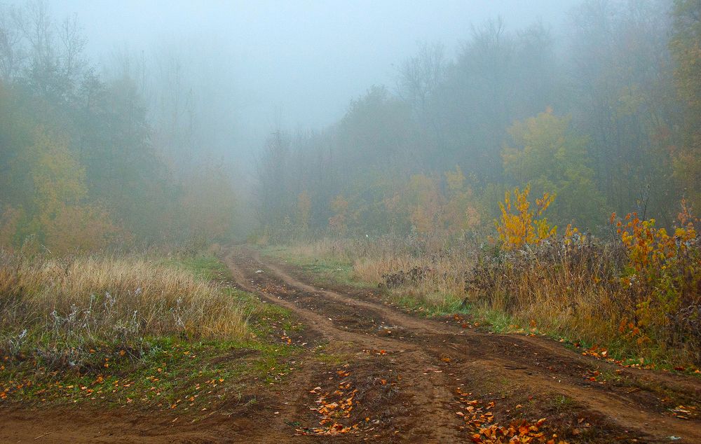 Photograph by Алексей Патлах