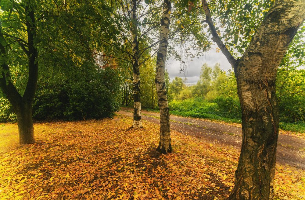 Photograph by Nikita Silyavin