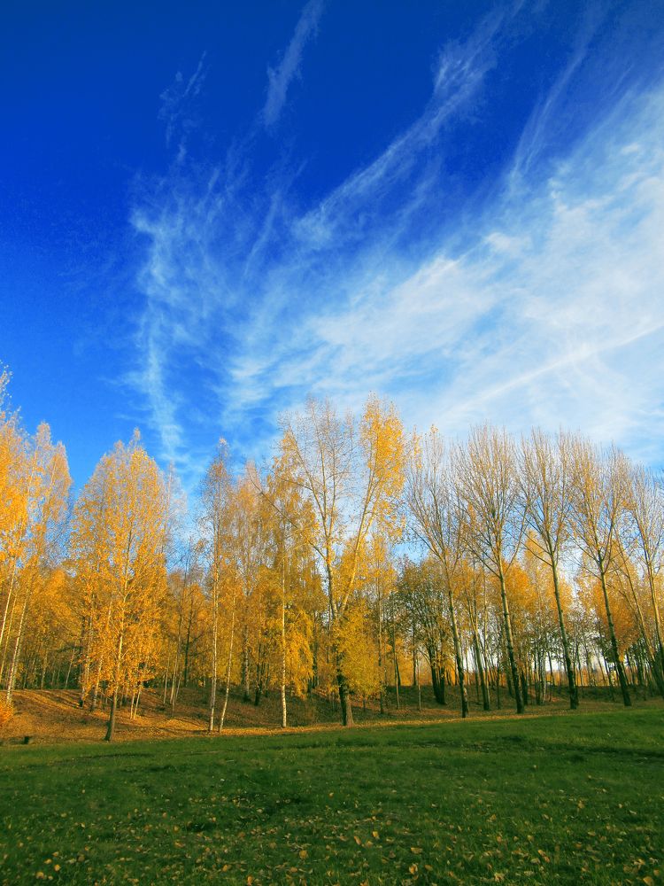 Photograph by Любовь Бусова