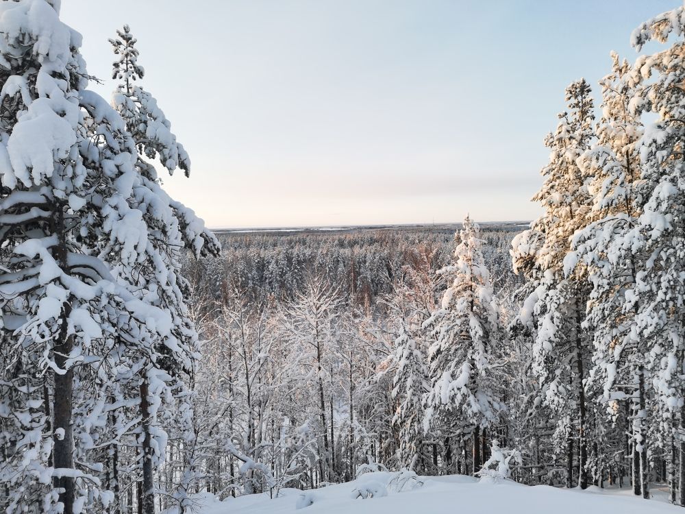 Photograph by Алексей Михайлов